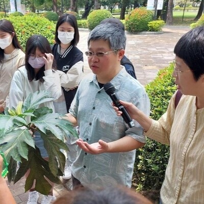 構樹與麵包樹DNA述說的南島語族遷徙史圖片